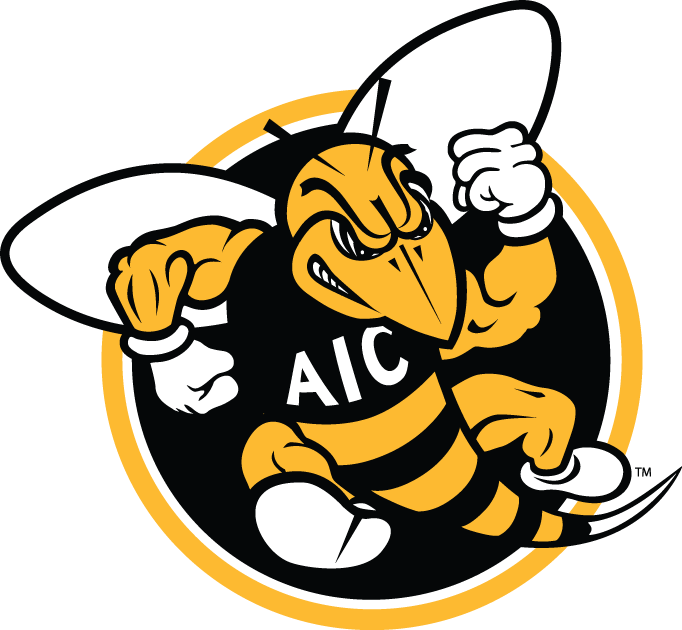 AIC Yellow Jackets 2009-Pres Alternate Logo diy iron on heat transfer